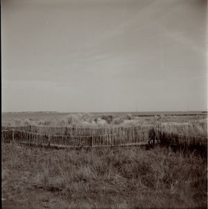 Lubitel - Ilford 400